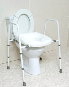 heavy duty toilet seat and frame